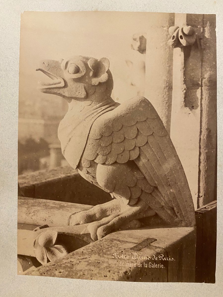 Médéric Mieusement (1840-1905) 4 Albumen Prints Chimeras Of Notre Dame Of Paris 1892-photo-4