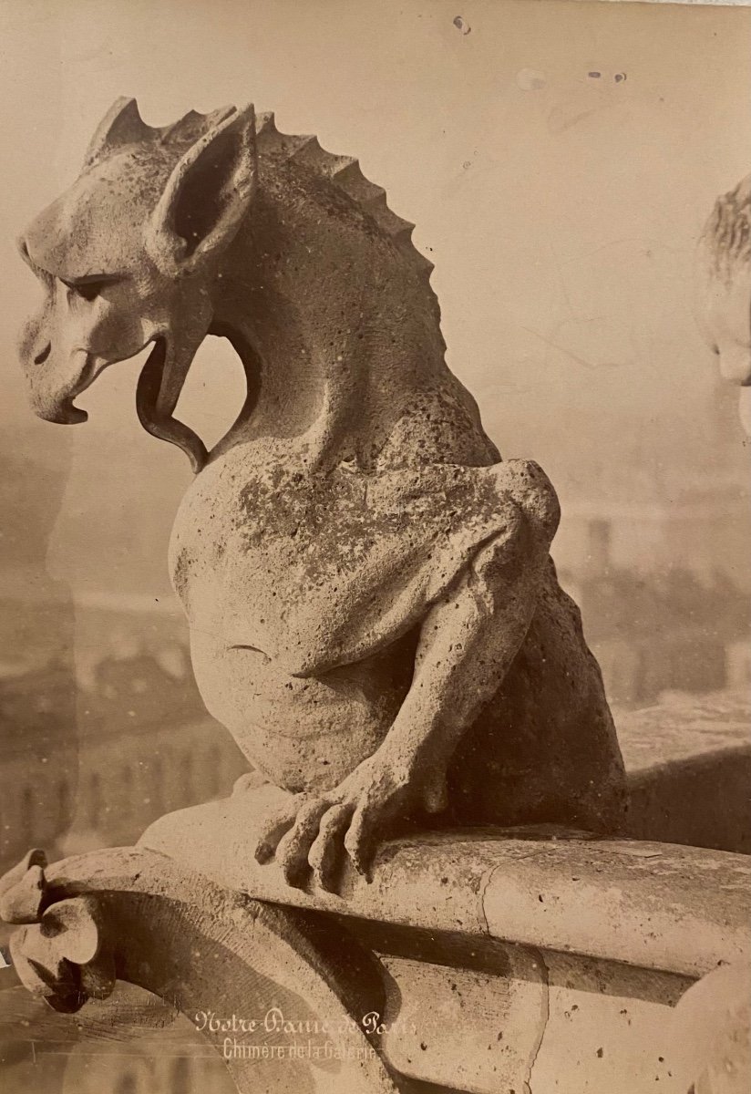 Médéric Mieusement (1840-1905) 4 Albumen Prints Chimeras Of Notre Dame Of Paris 1892