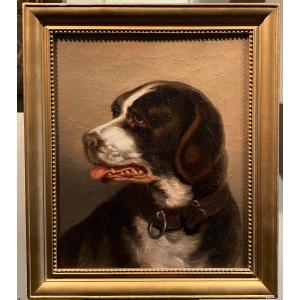 French School 19th Century Portrait Of A Dog Oil On Canvas Antique Animal Painting