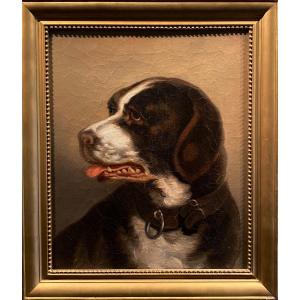 Ecole Française XIXe Portrait De Chien Huile Sur Toile Tableau Ancien Animalier