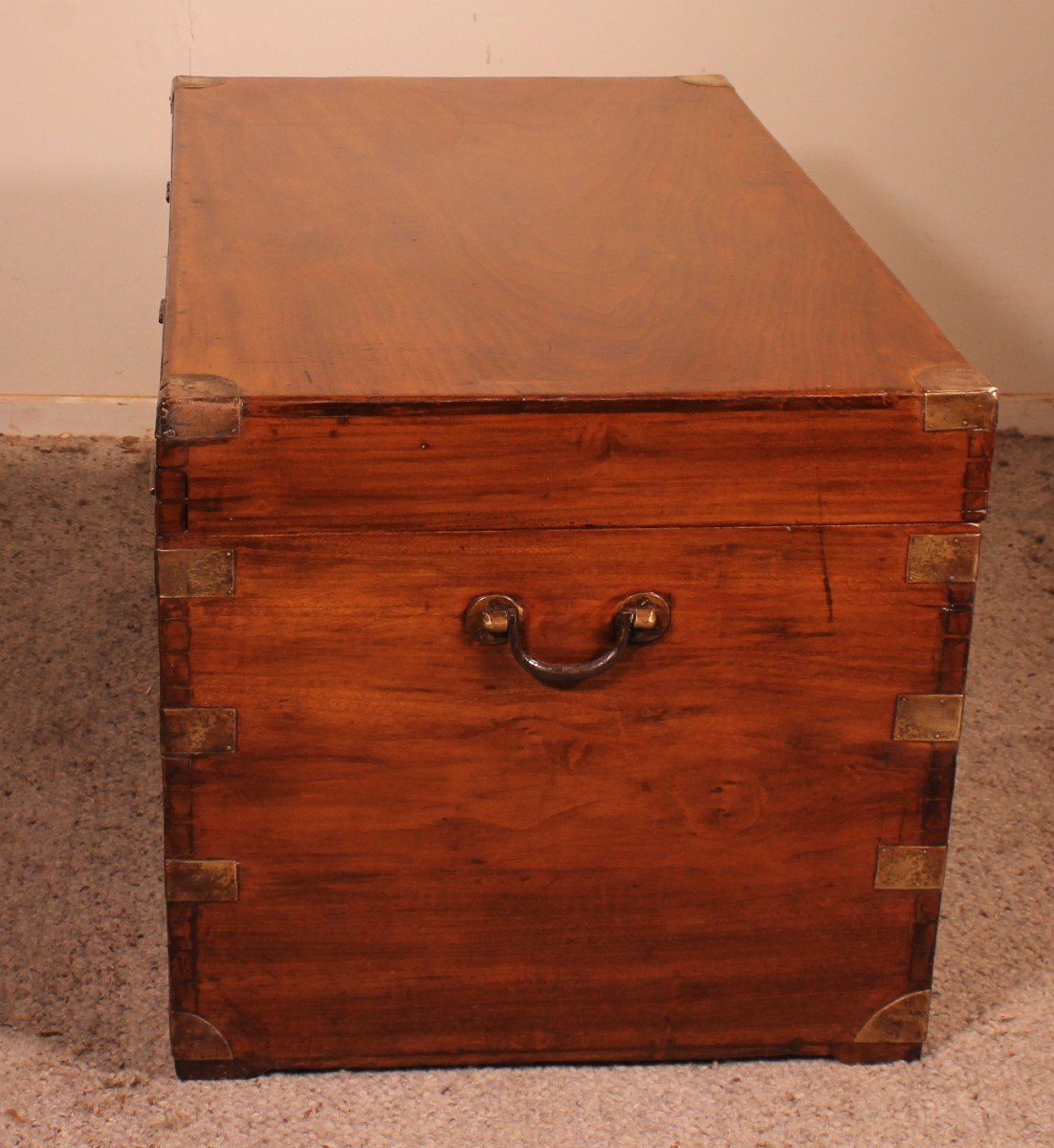 Large Marine Chest In Camphor From The 19th Century-photo-7