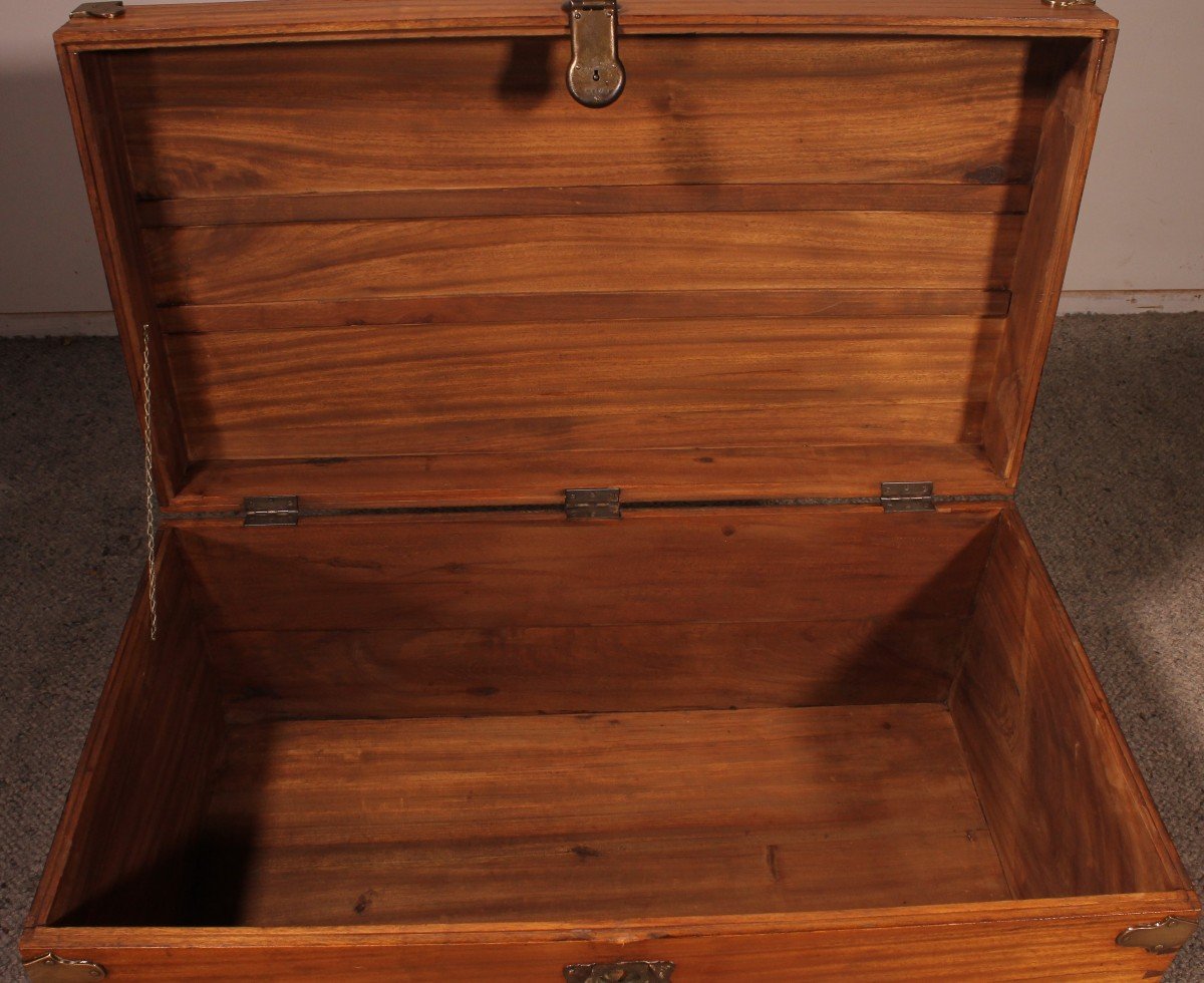 Campaign Chest In Camphor Camphor Wood -photo-4