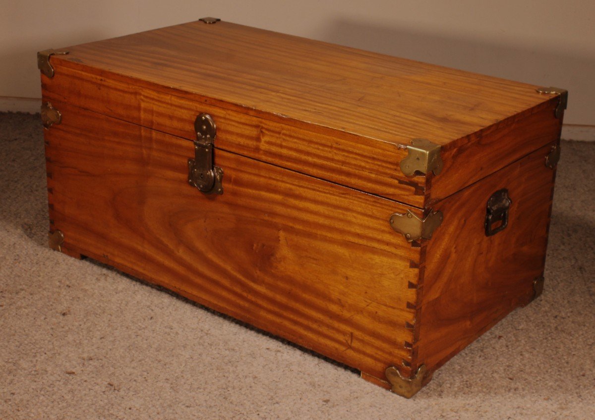 Campaign Chest In Camphor Camphor Wood -photo-1