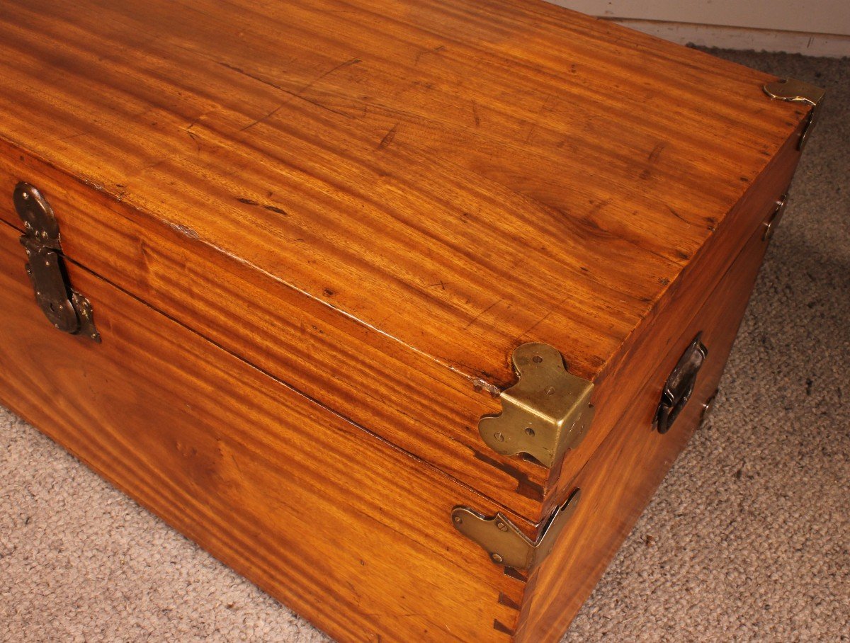 Campaign Chest In Camphor Camphor Wood -photo-2