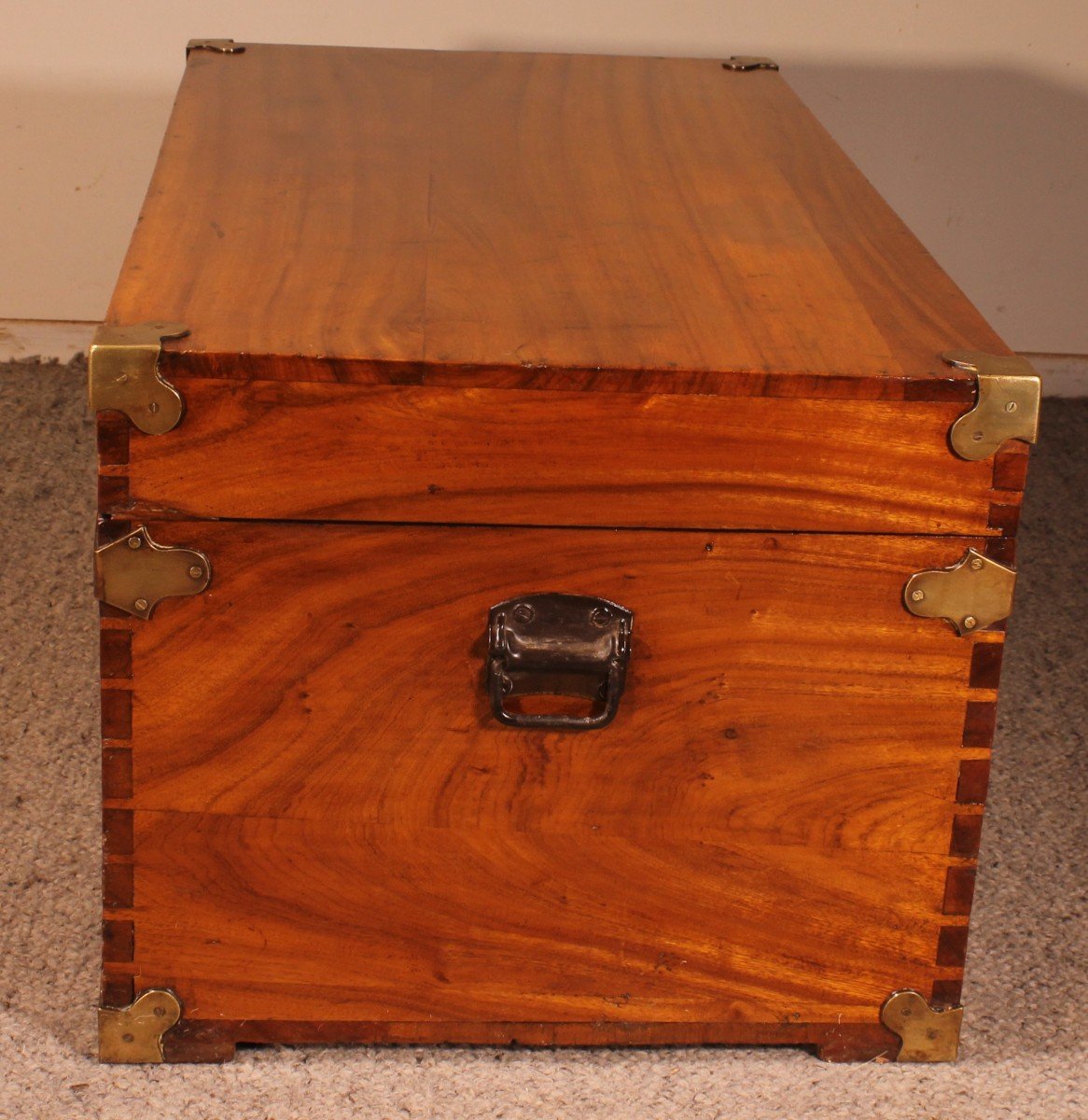 Campaign Chest In Camphor Camphor Wood -photo-3