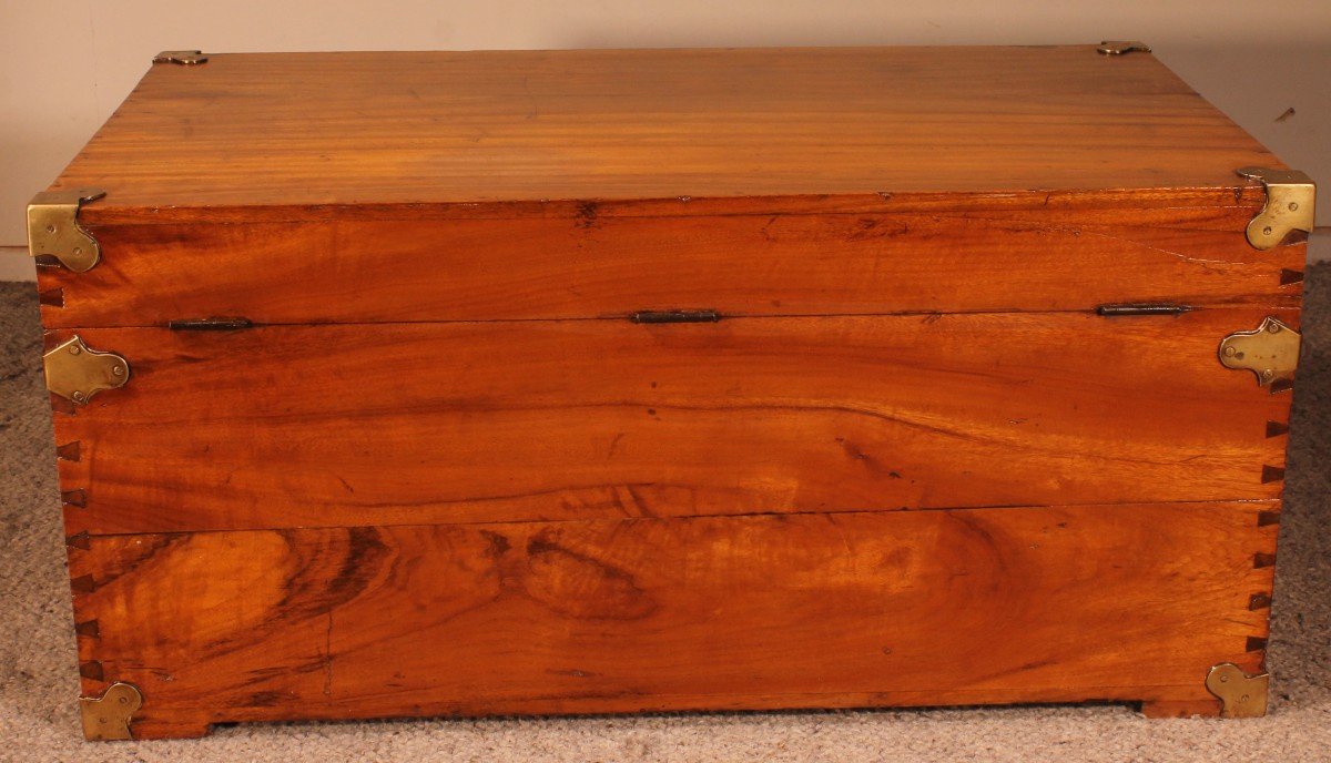 Campaign Chest In Camphor Camphor Wood -photo-4