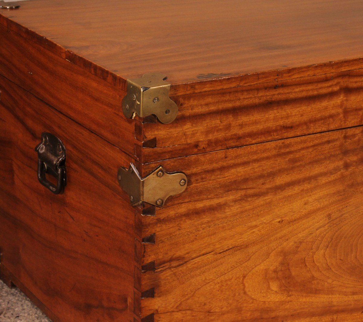 Campaign Chest In Camphor Camphor Wood -photo-7