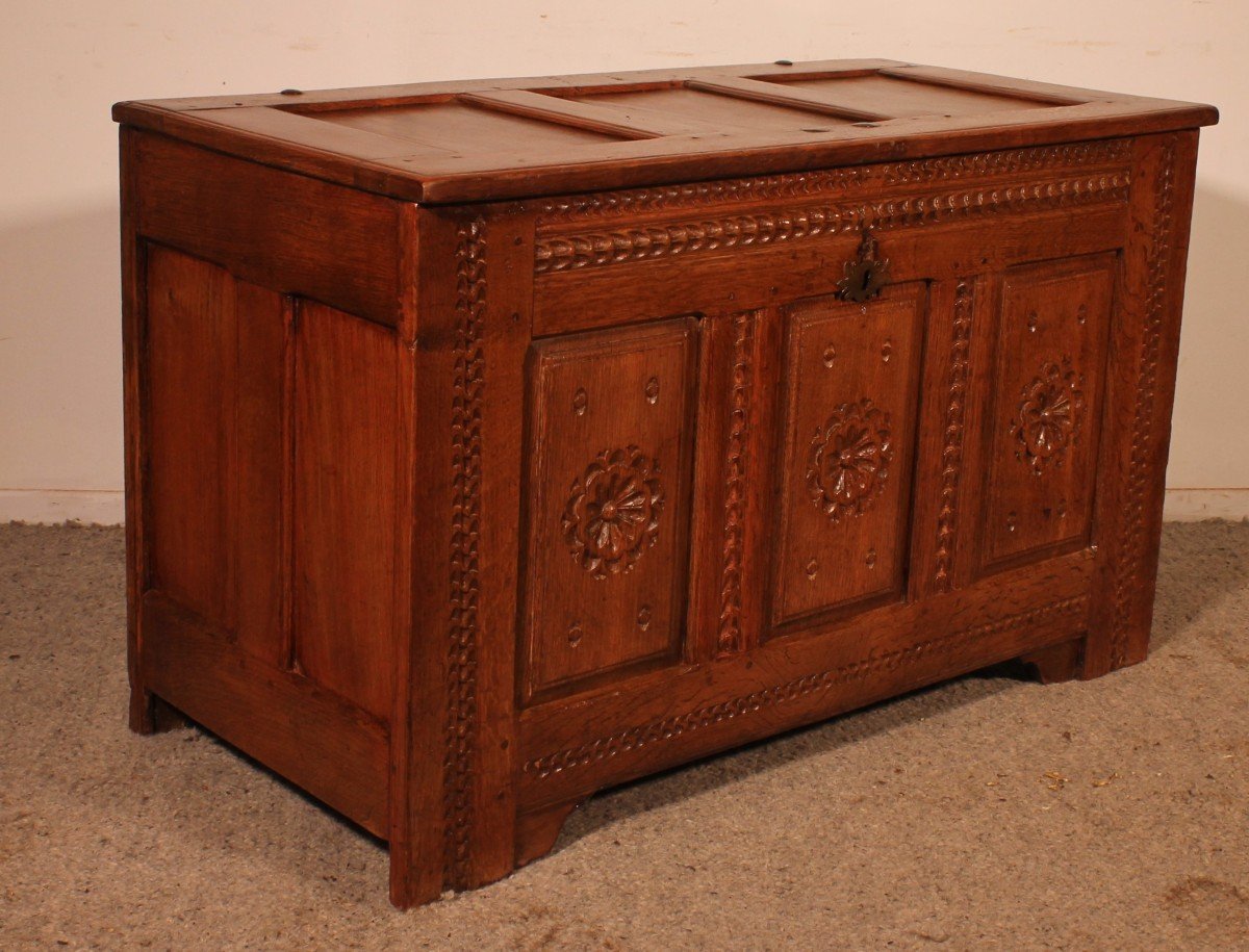 Renaissance Oak Chest - 17th Century-photo-1