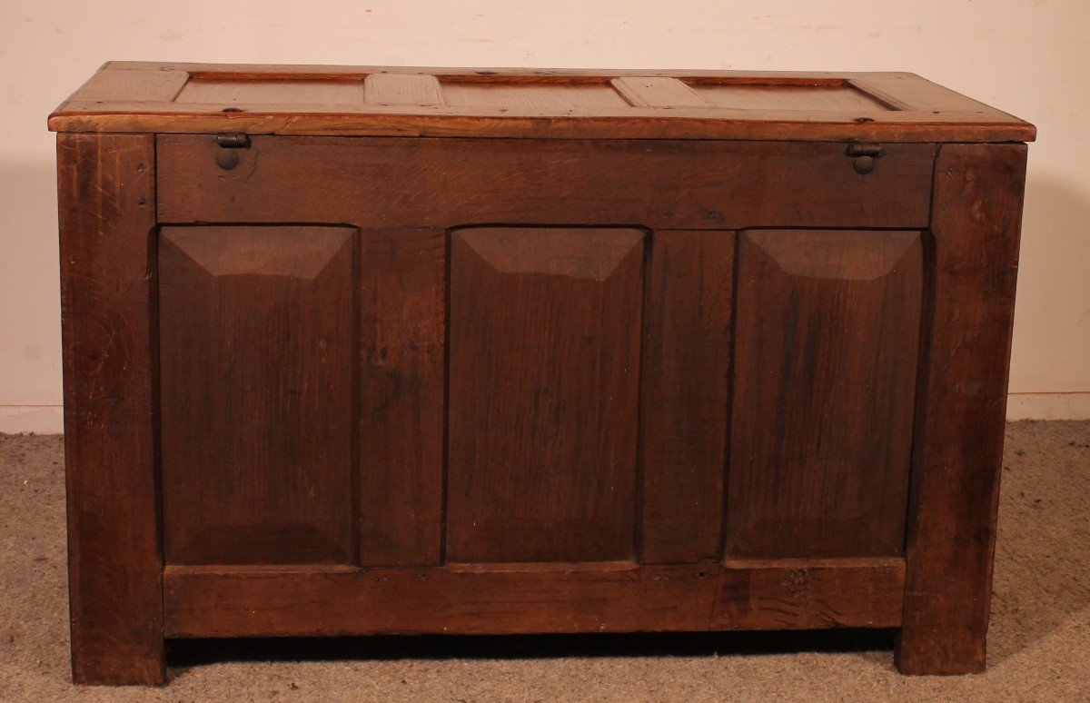 Renaissance Oak Chest - 17th Century-photo-3