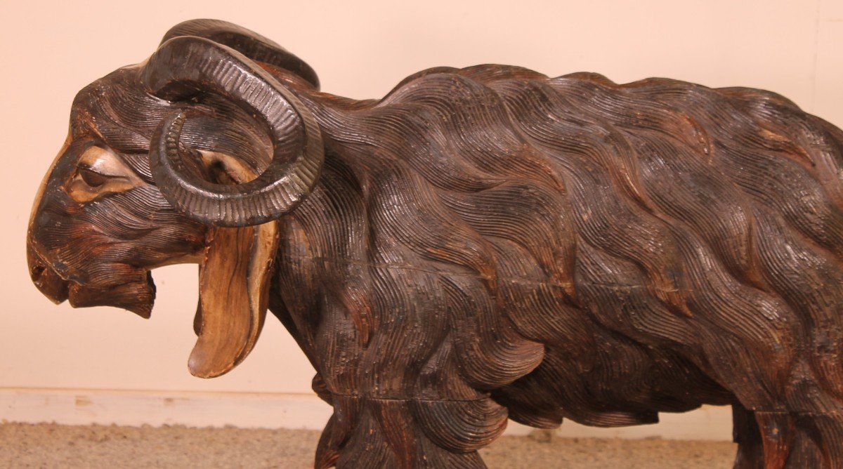Pair Of Scottish Ram In Polychrome Wood-19 Century-photo-6