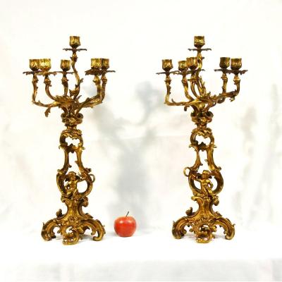 Large Pair Of Candlesticks Gilt Bronze Louis XV Style Candelabra Nineteenth