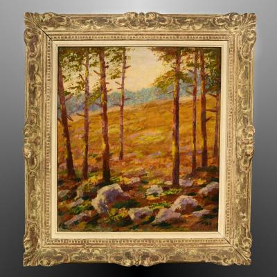 Impressionist Landscape Undergrowth Of Pines Signed Gross