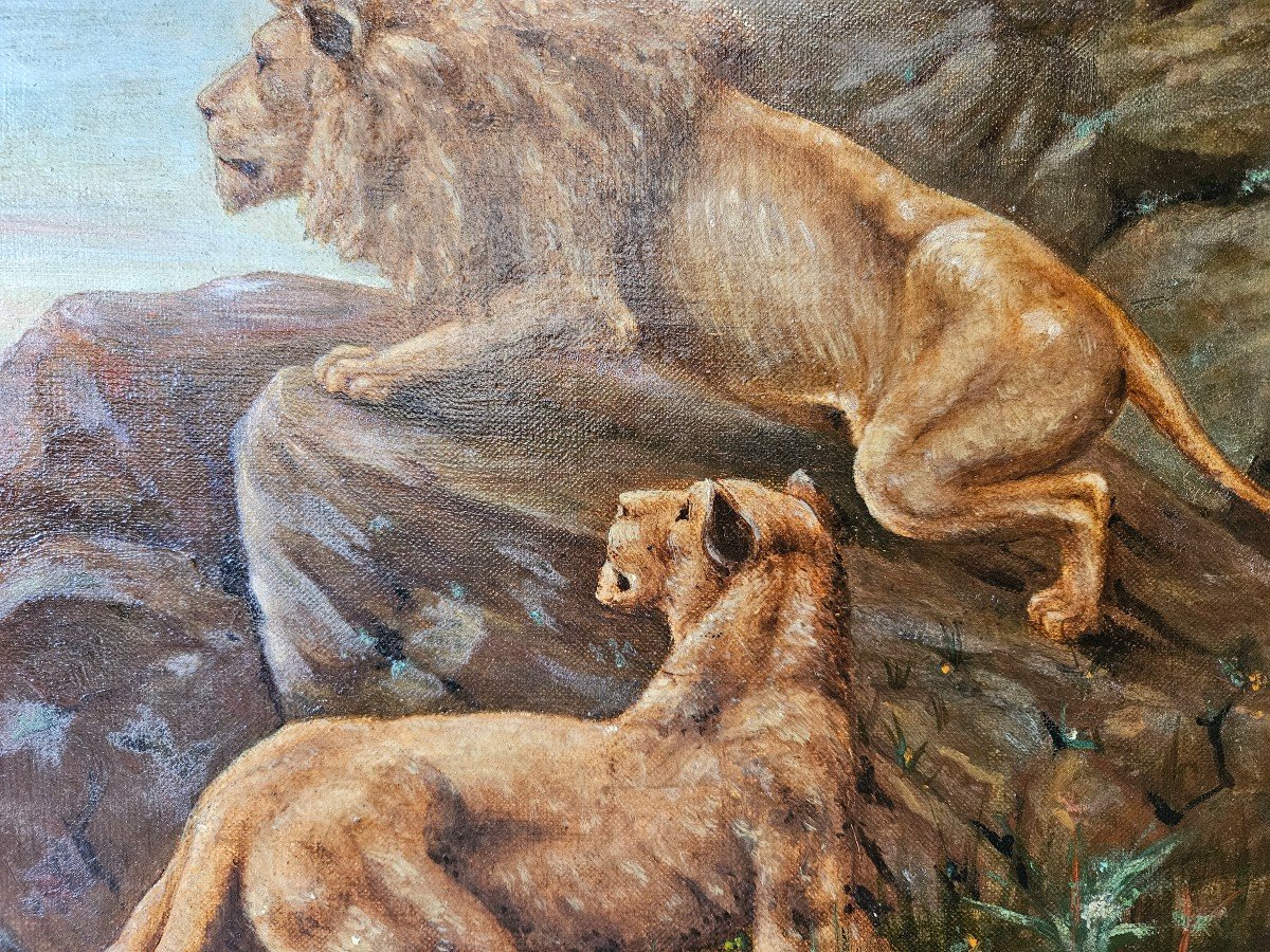 Foreign School Early 20th Century Lion And Lioness-photo-4