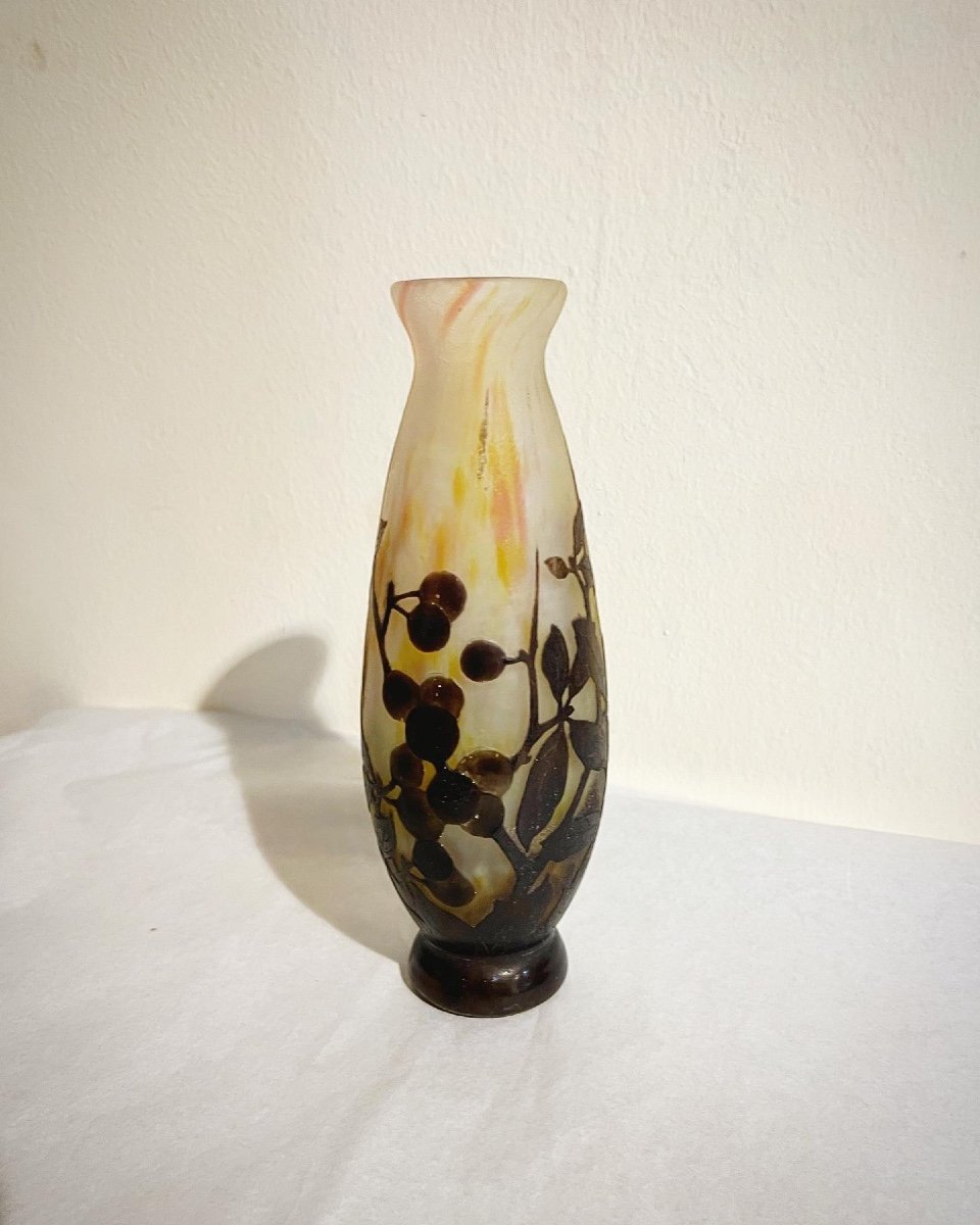 Vase Art Nouveau Daum Nancy ( Plaquettes) 