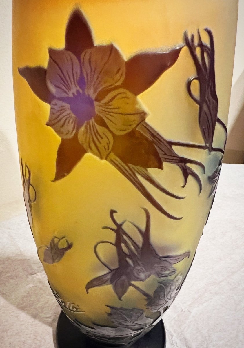 Ancolies -vase Art Nouveau Galle-photo-2