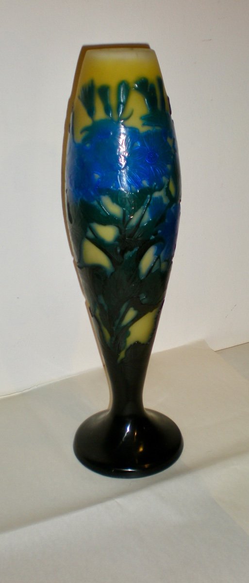 Cinéraire- Vase  Gallè Art Nouveau-photo-2