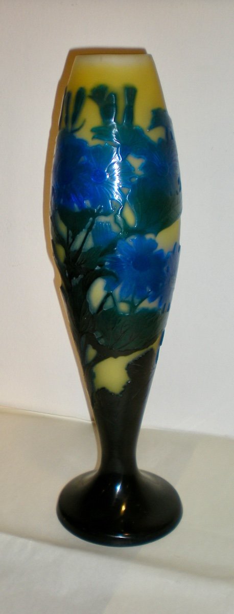 Cinéraire- Vase  Gallè Art Nouveau