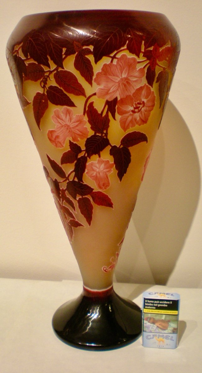 Begonias- Large Art Nouveau Vase Signed Gallè-photo-3