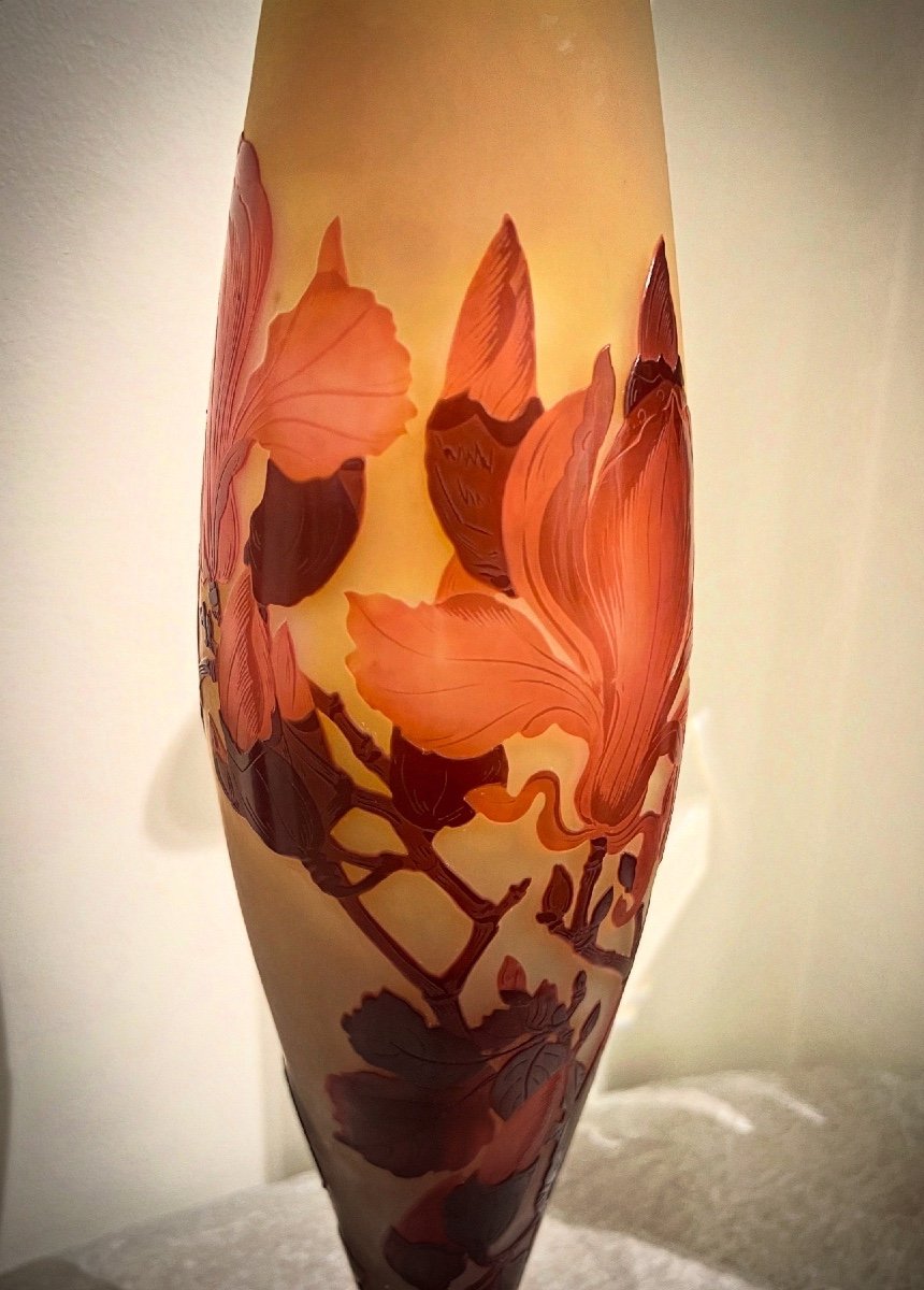 Magnolia - Vase Art Nouveau Gallè-photo-3