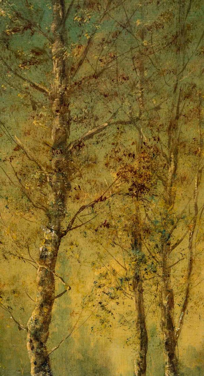 A Pair Of Undergrowth Paintings, Late 19th Century -photo-3