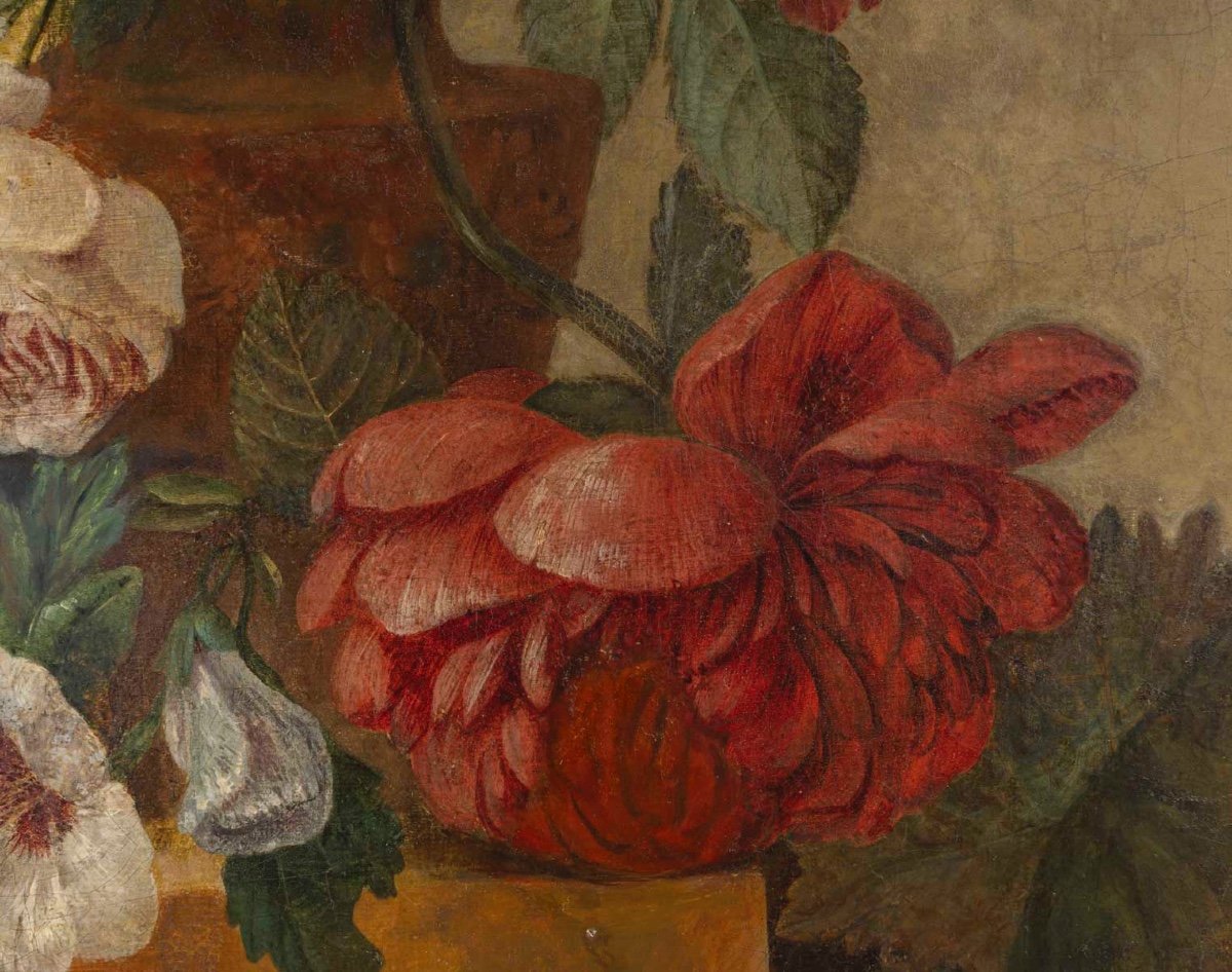 Pair Of Flower Paintings, 18th Century -photo-6