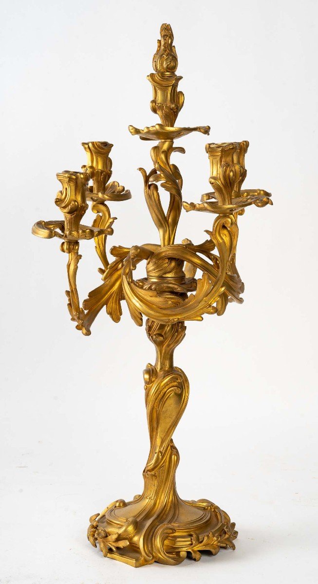 Paire De Candelabre En Bronze Dore Style Louis XV, XIXème Siècle -photo-2