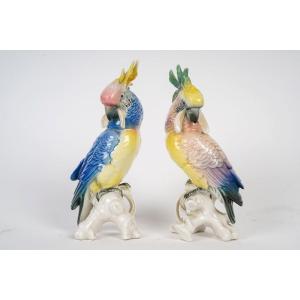 A Pair Of Porcelain Parrots 