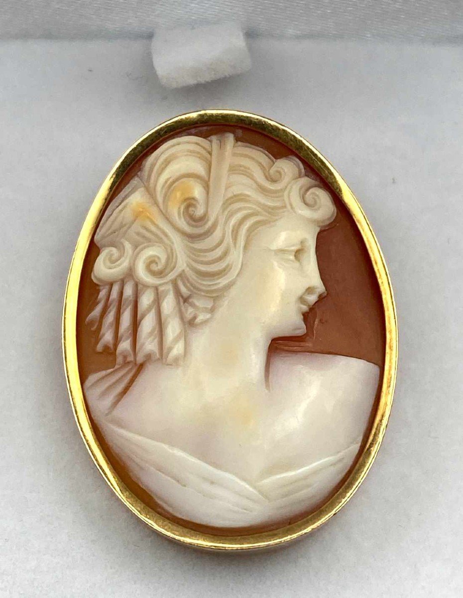 Vintage Yellow Gold Cameo Brooch-photo-4