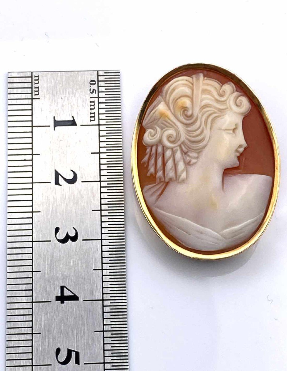 Vintage Yellow Gold Cameo Brooch-photo-2