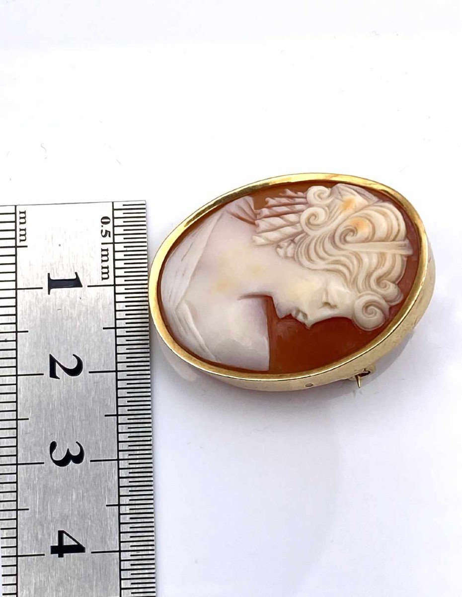 Vintage Yellow Gold Cameo Brooch-photo-3