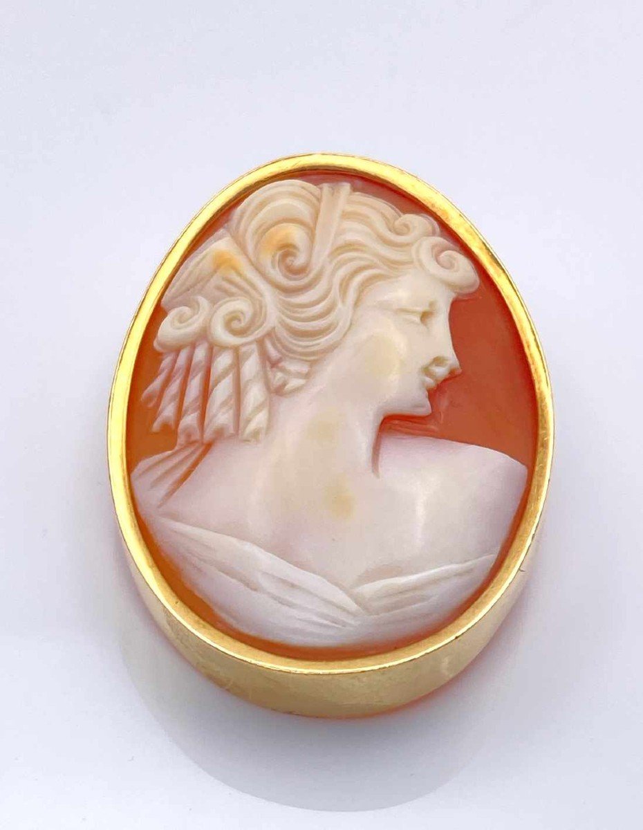 Vintage Yellow Gold Cameo Brooch