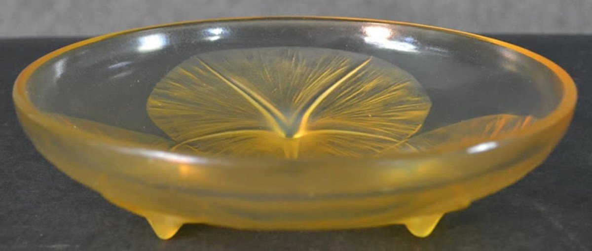 René Lalique (1860-1945) : Coupe « Volubilis » Opalescente .-photo-4