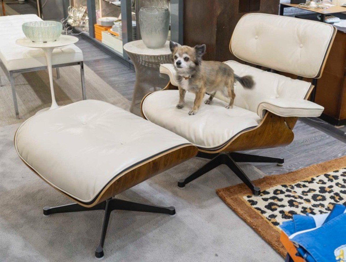  Charles et Ray Eames & Mobilier International - Chaise longue et pouf-photo-6