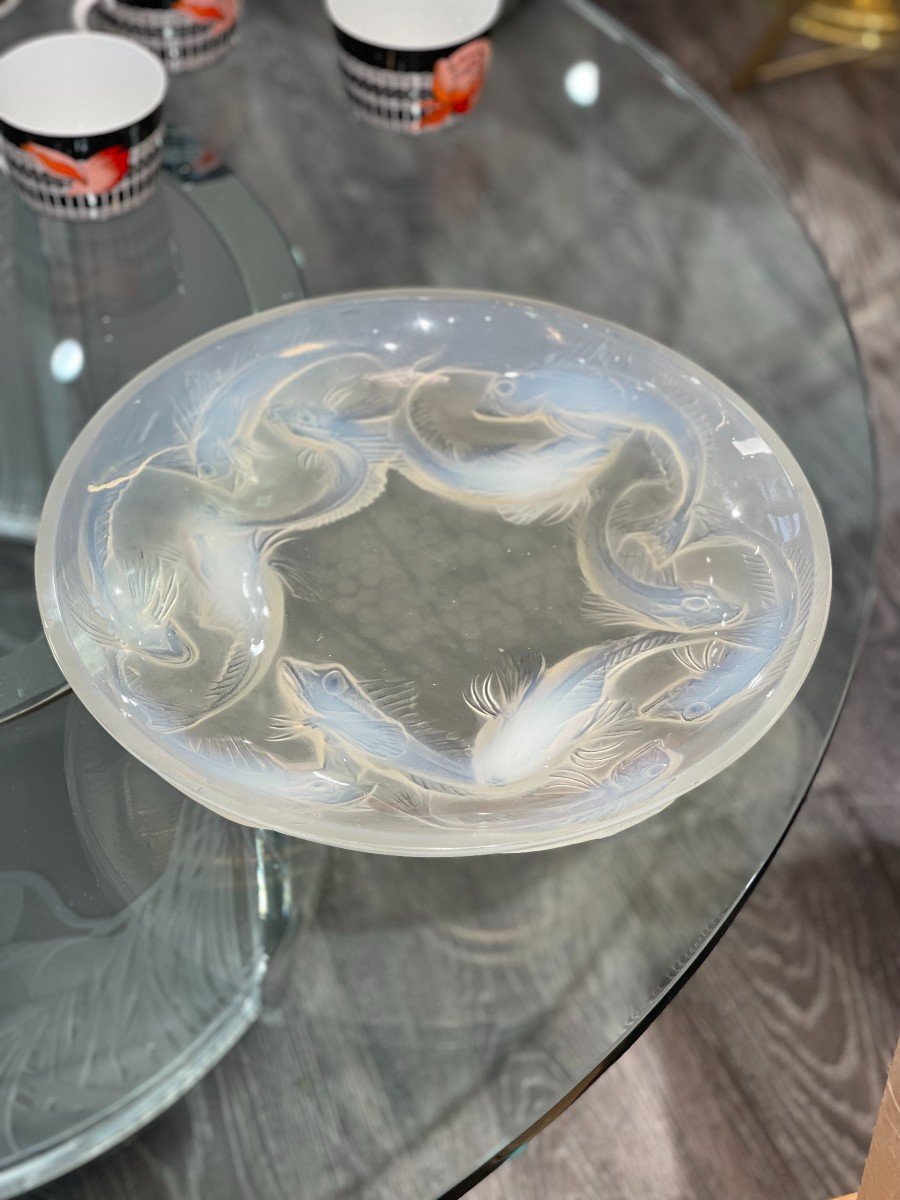 René Lalique : Plat "Martigues" Opalescent-photo-2