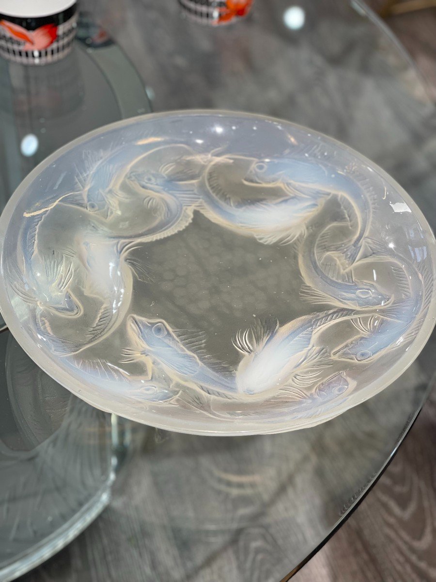 René Lalique : Plat "Martigues" Opalescent-photo-4