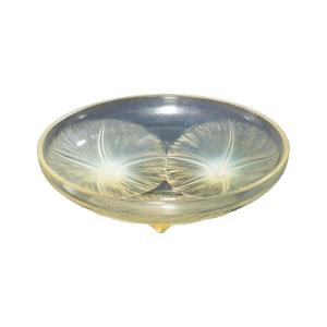 René Lalique (1860-1945): Opalescent "volubilis" Cup.