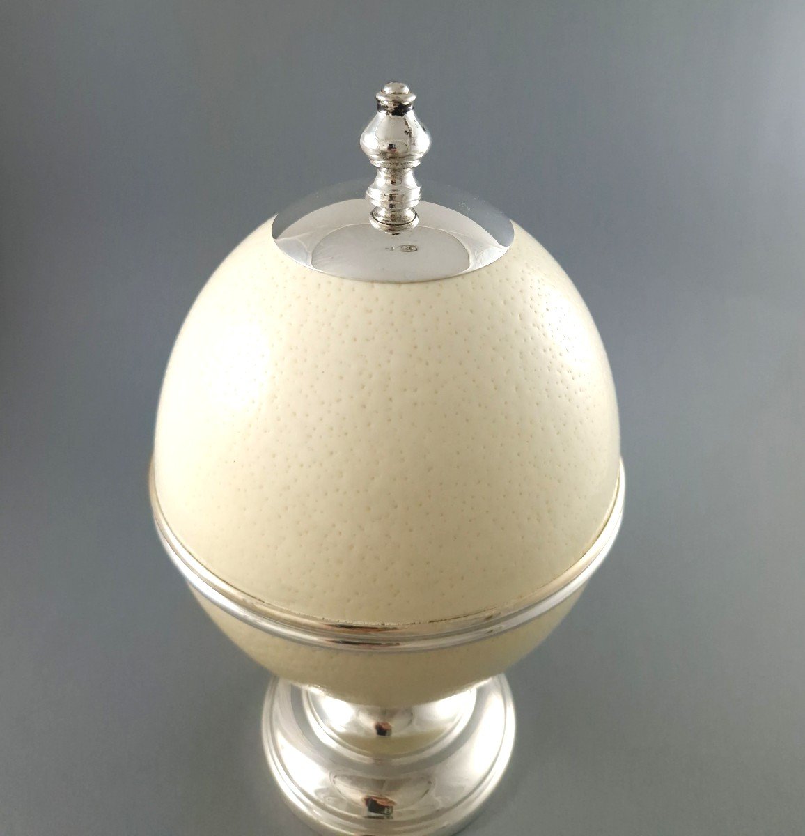 Ostrich Egg And Sterling Silver Box-photo-1