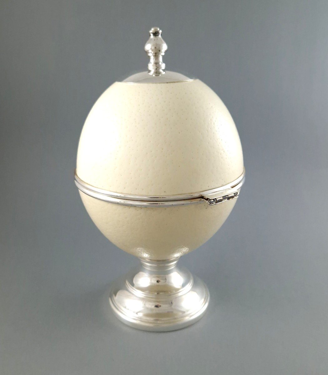 Ostrich Egg And Sterling Silver Box-photo-2