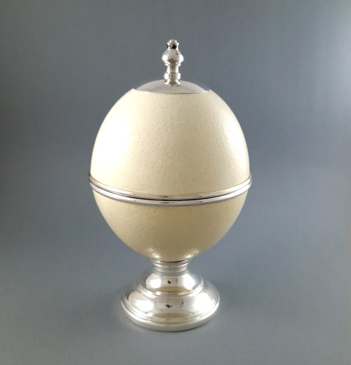 Ostrich Egg And Sterling Silver Box