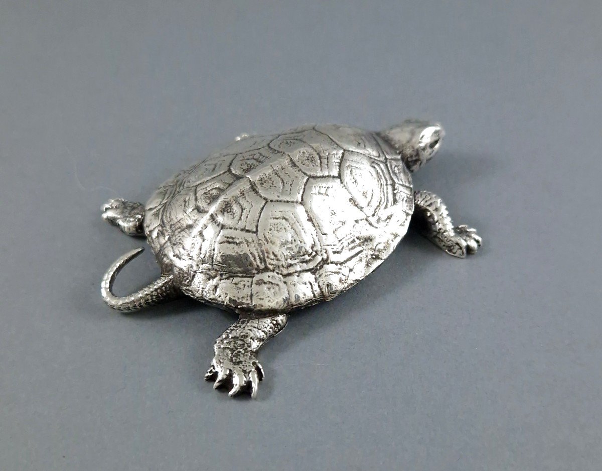 Sterling Silver Turtle-photo-2