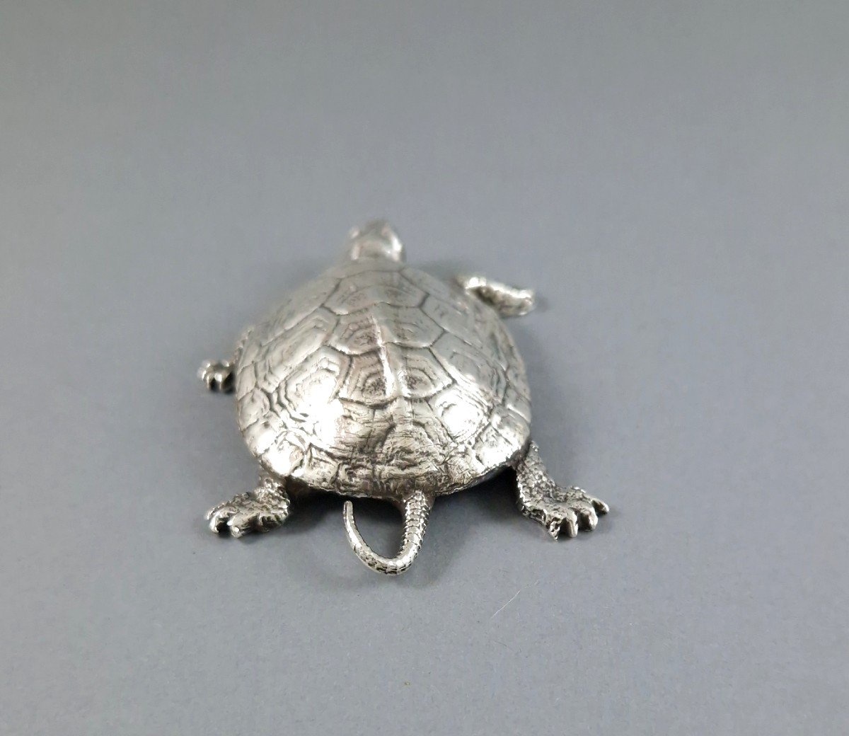 Sterling Silver Turtle-photo-3