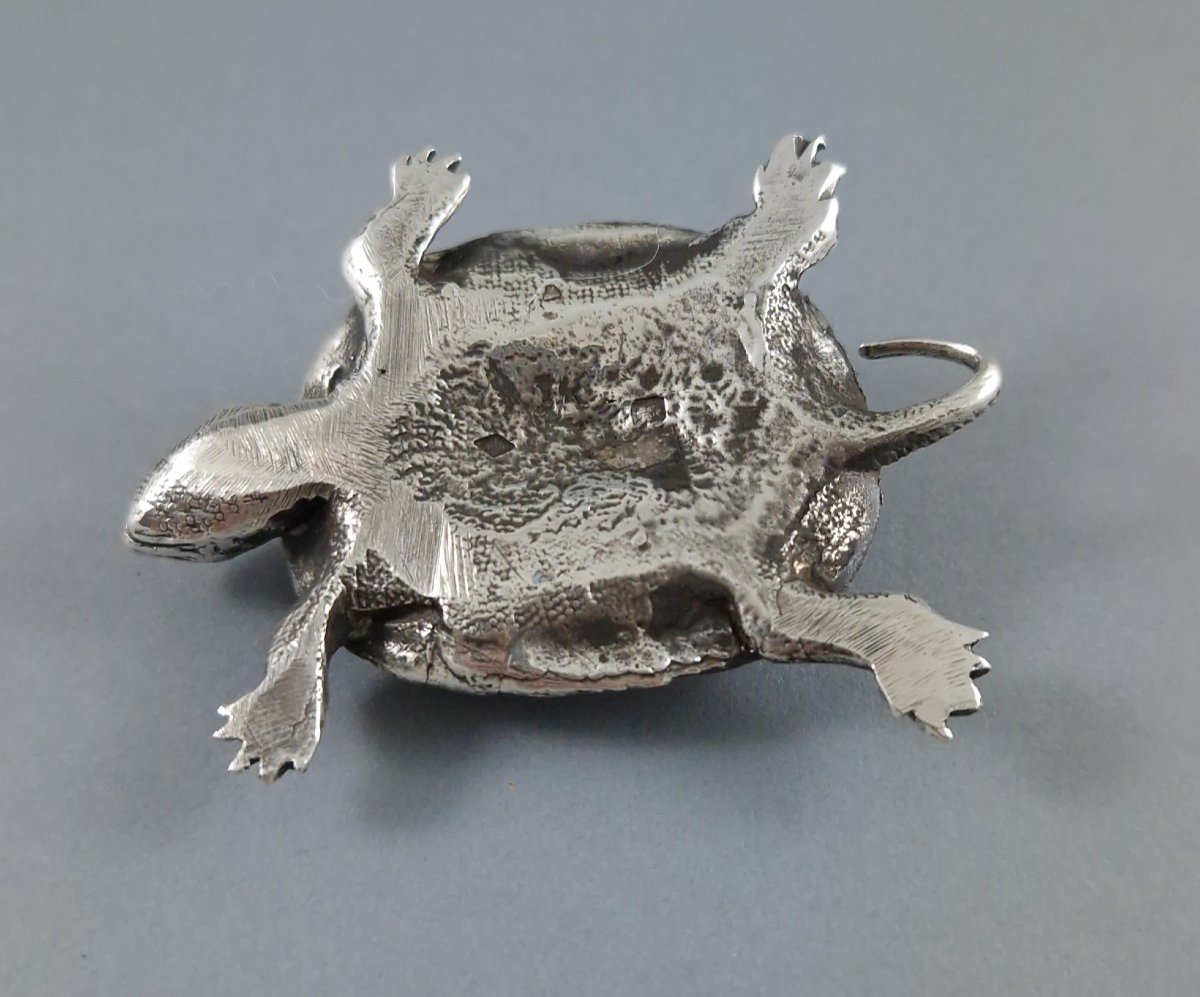 Sterling Silver Turtle-photo-6