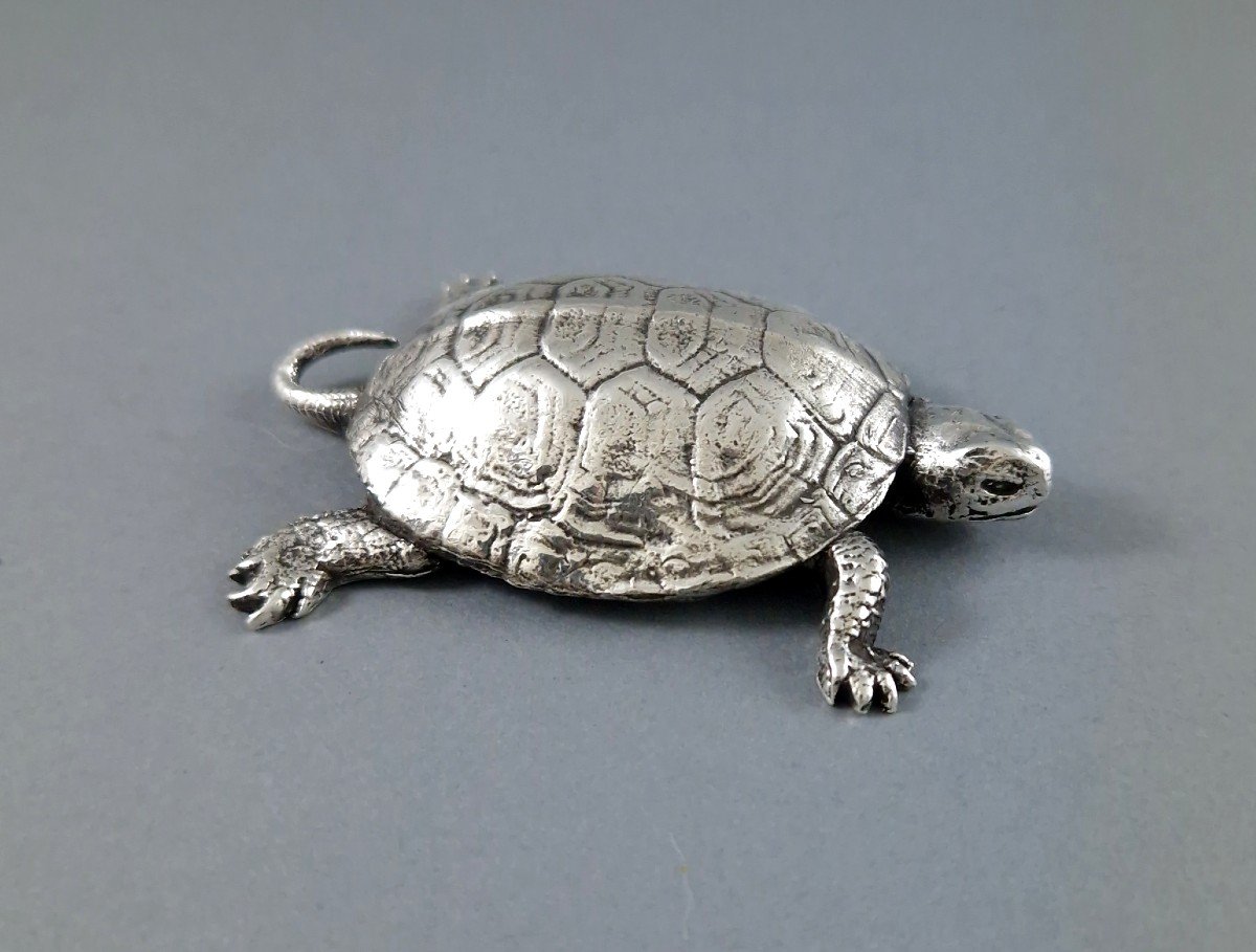 Sterling Silver Turtle