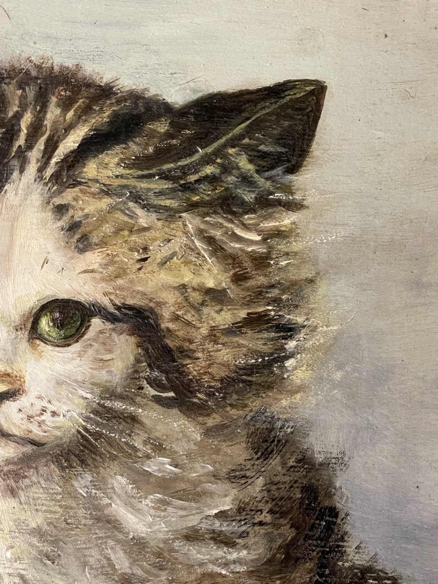 Portrait Of Cat, Old Painting-photo-2