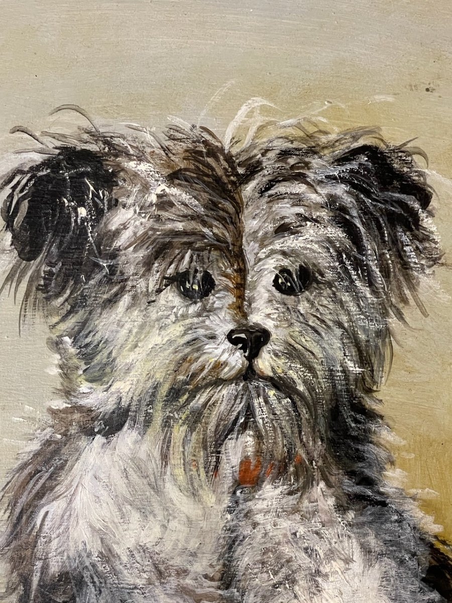 Dog Portrait. Old Painting-photo-2