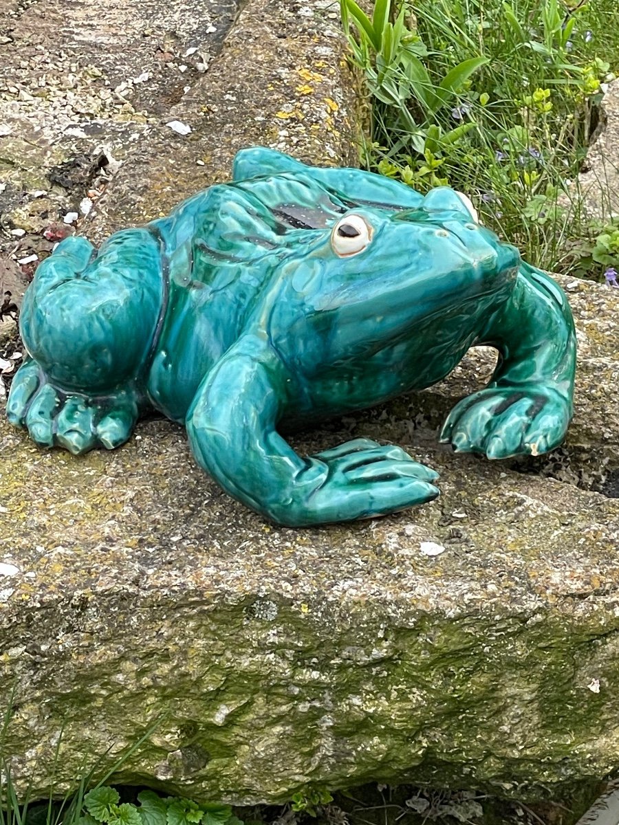 Frog In Slush-photo-3