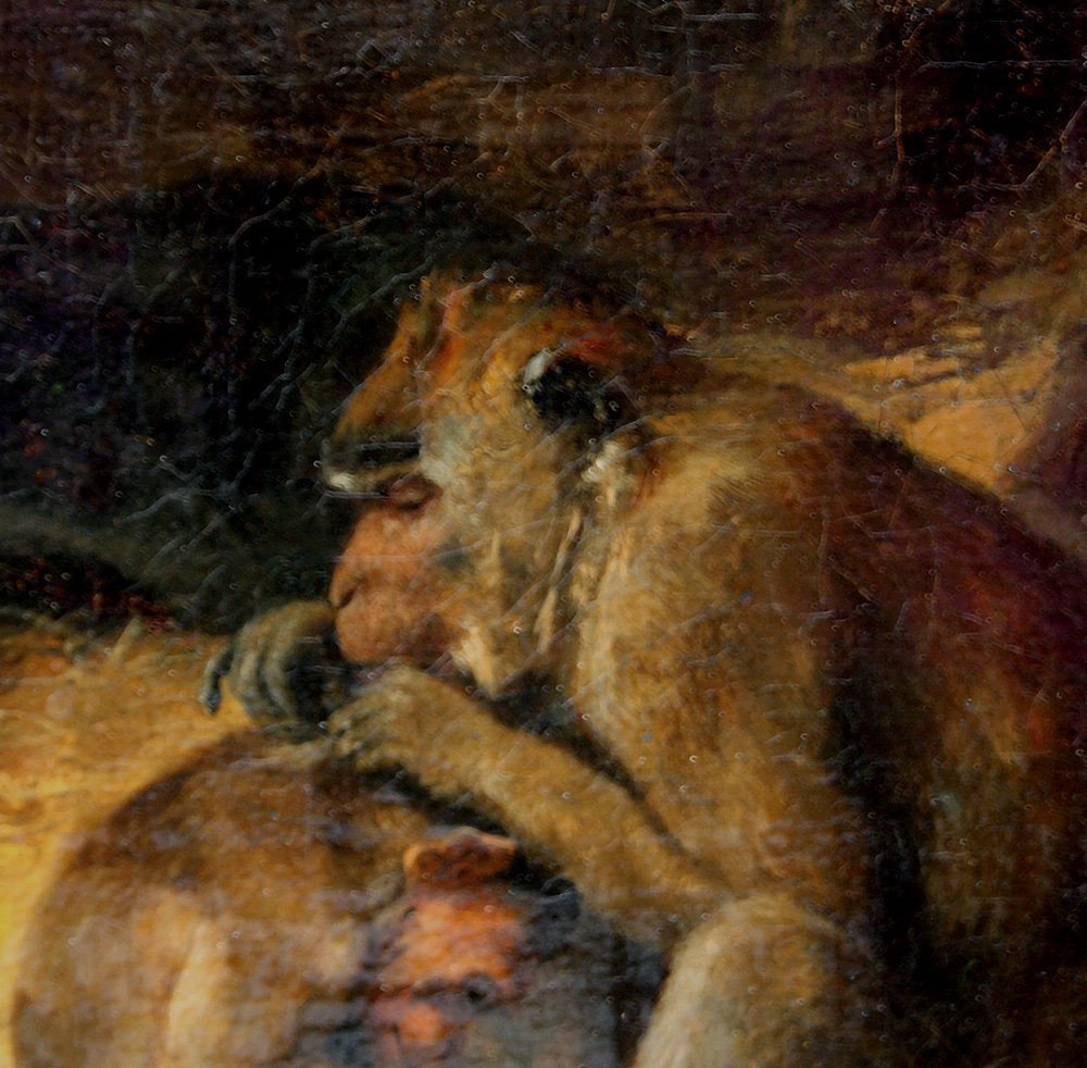 Famille Macaque par  Paul Friedrich Meyerheim (allemand 1842 -1915)-photo-4