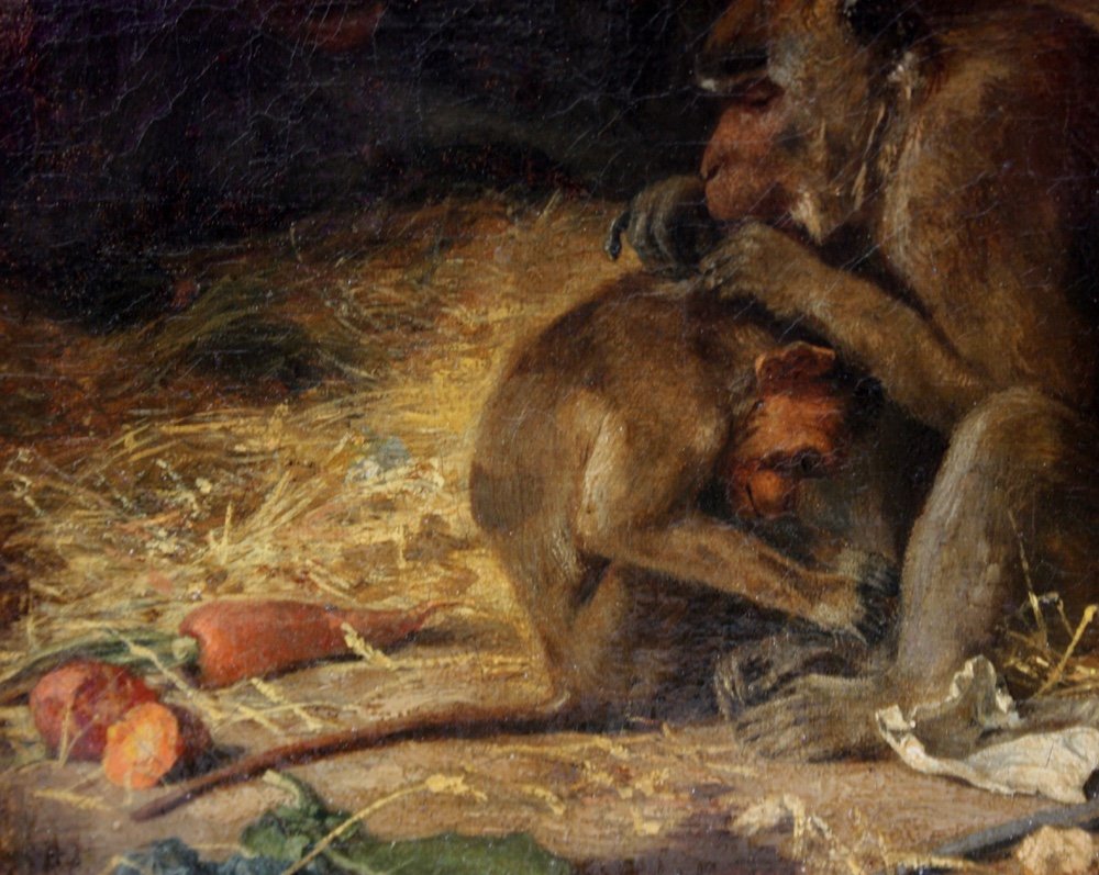 Famille Macaque par  Paul Friedrich Meyerheim (allemand 1842 -1915)-photo-1