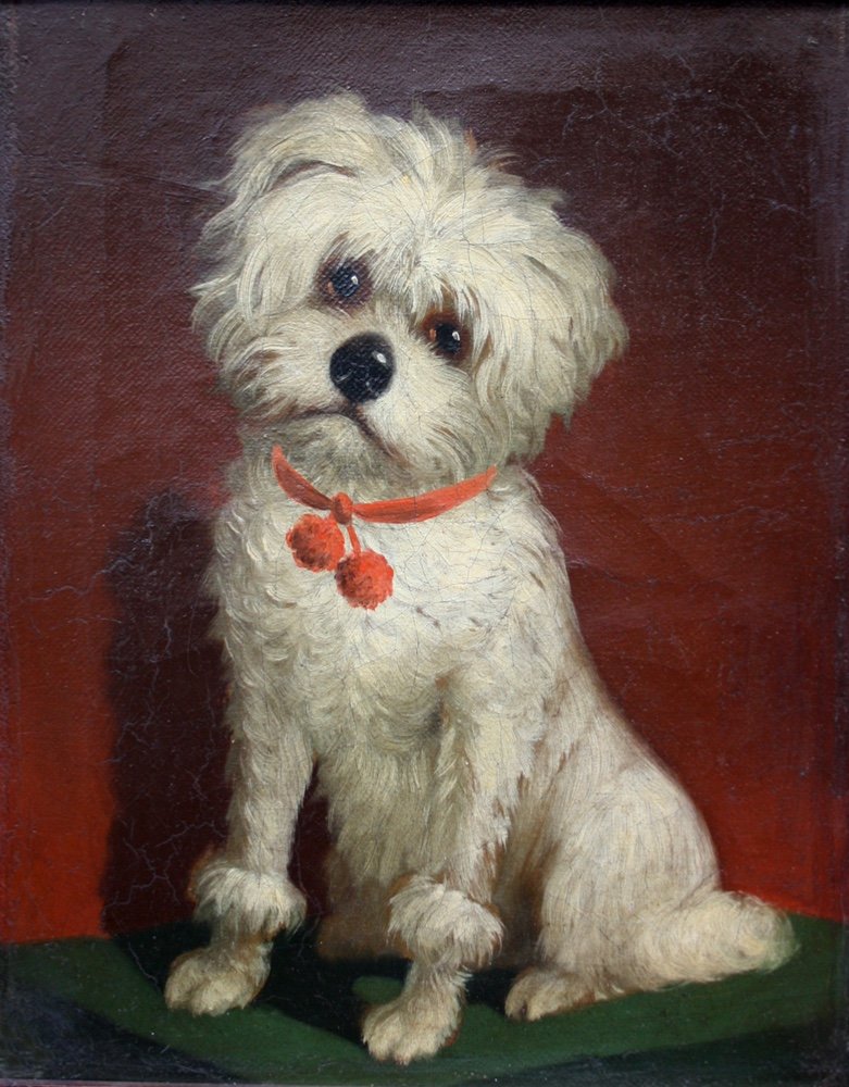 Favorite Dog By Carl Reichert (austrian,1836-1918), Attr.to-photo-2