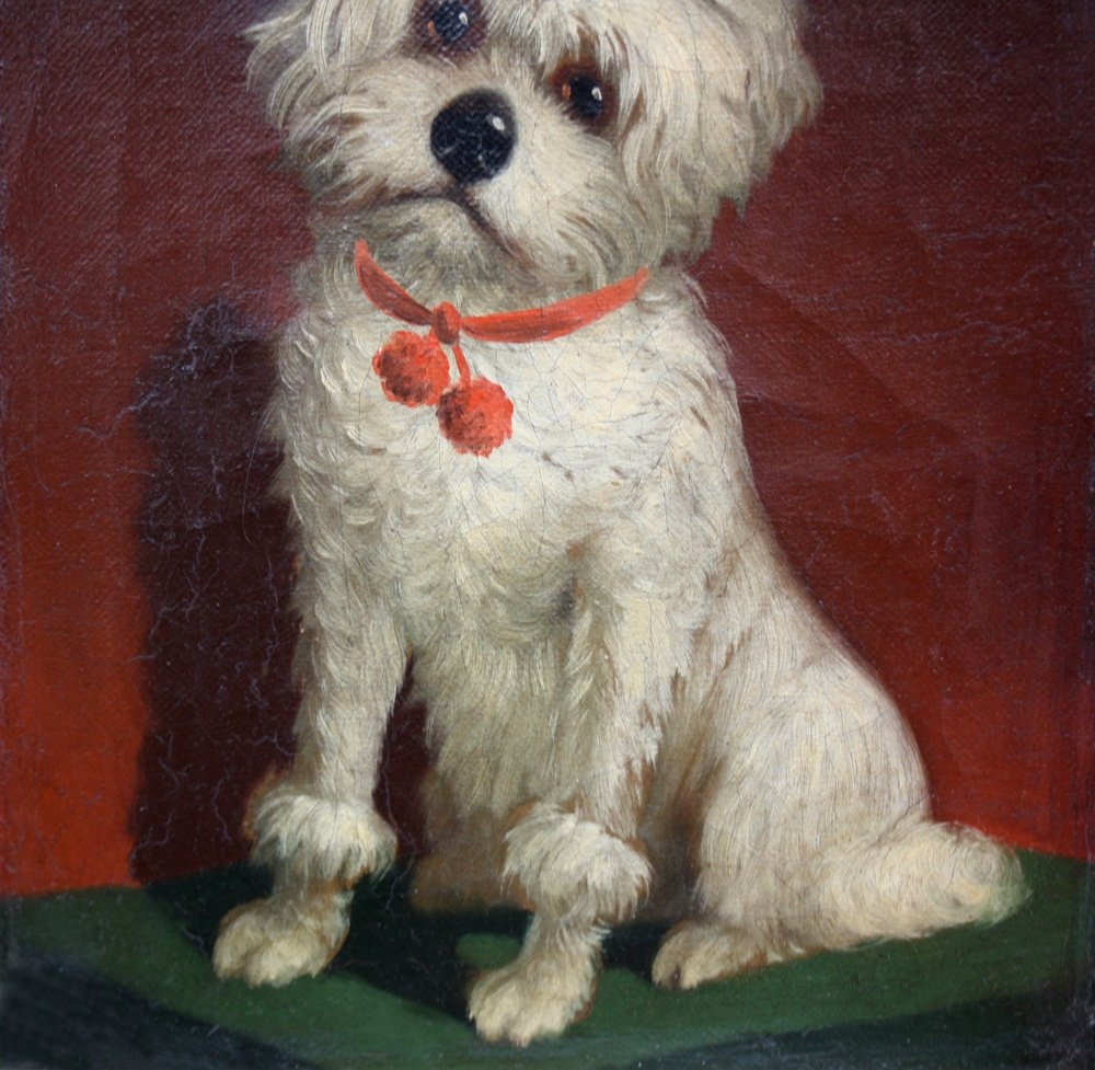 Favorite Dog By Carl Reichert (austrian,1836-1918), Attr.to-photo-3